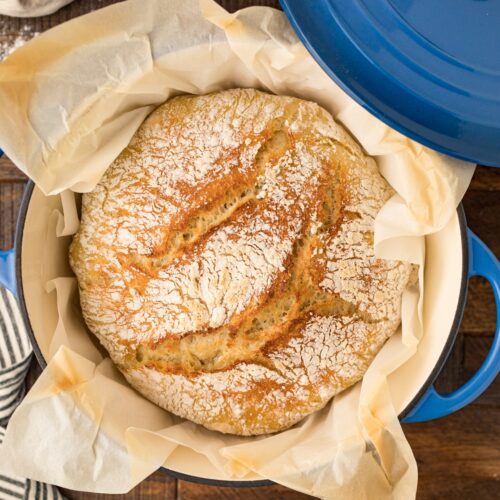 A loaf of baked homemade no knead bread in a Dutch oven lined with parchment paper.