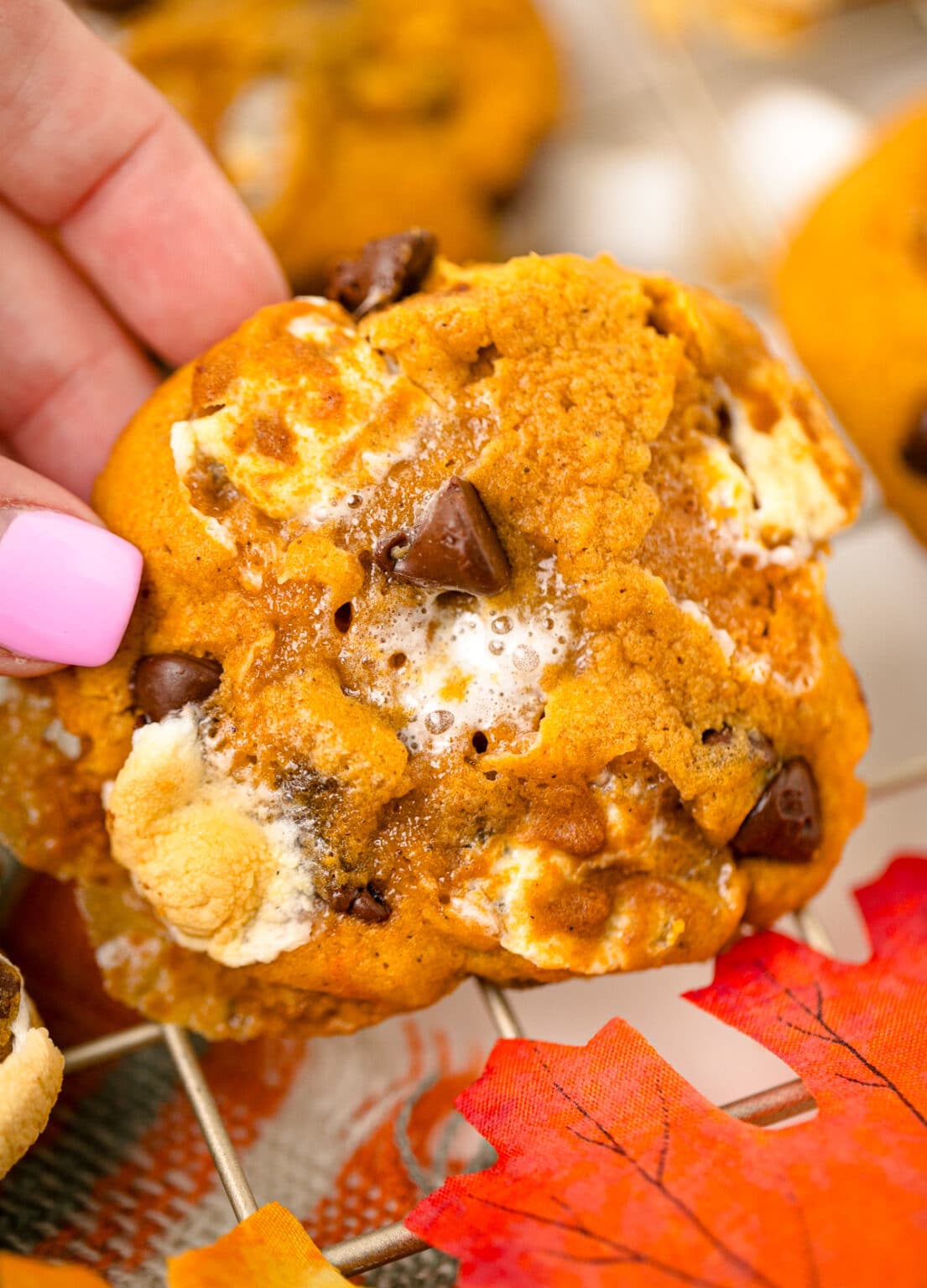 Pumpkin S'mores Cookies - Sweet Tea and Sprinkles